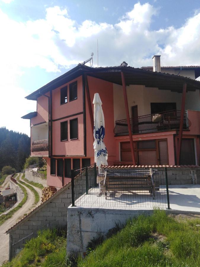 Вила Родопи 多斯帕特 外观 照片